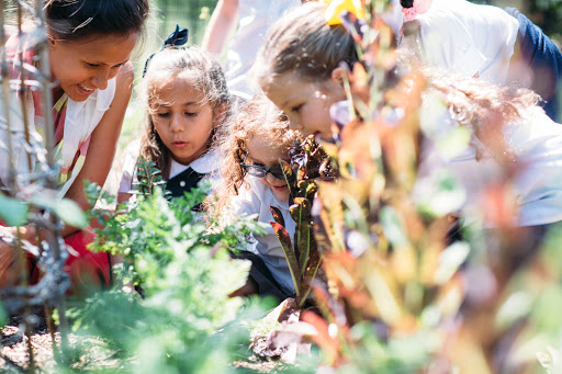 599 Celebration Pl, Celebration, FL 34747, USA