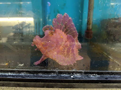 Pet Store «Pets Plus - Quakertown», reviews and photos, 117 S West End Blvd, Quakertown, PA 18951, USA