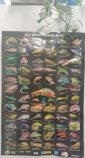 Pet Store «Olathe Pet Shop», reviews and photos, 16651 151st St, Olathe, KS 66062, USA