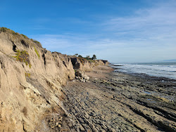 South Palisades beach'in fotoğrafı ve yerleşim