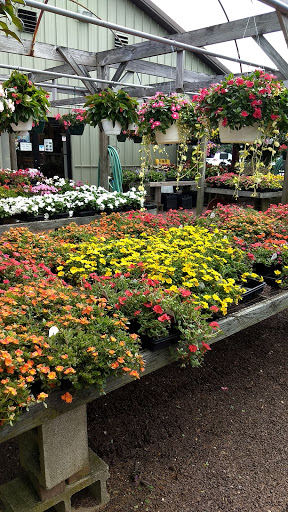 Landscaper «Garden Greenhouse & Nursery», reviews and photos, 1919 U.S. 9, Cape May Court House, NJ 08210, USA