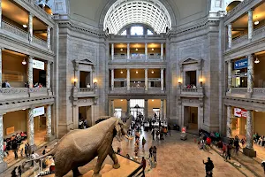 Smithsonian National Museum of Natural History image
