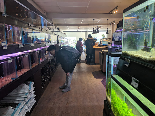 Magasins de poissons Montreal