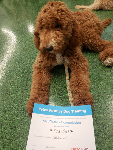 Pet Supply Store «Petco Animal Supplies», reviews and photos, 11639 S Pkwy Plaza Dr, South Jordan, UT 84095, USA