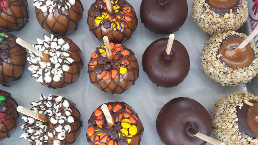 Fairground «Conservatory at the Sussex County Fairgrounds», reviews and photos, 37 Plains Rd, Augusta, NJ 07822, USA