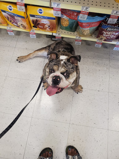 Pet Supply Store «PetSmart», reviews and photos, 10940 E Foothill Blvd, Rancho Cucamonga, CA 91730, USA