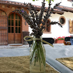 Photo n°1 de l'avis de Tiziano.a fait le 15/07/2018 à 20:30 sur le  Agriturismo Ca' Versa à Santa Maria della Versa