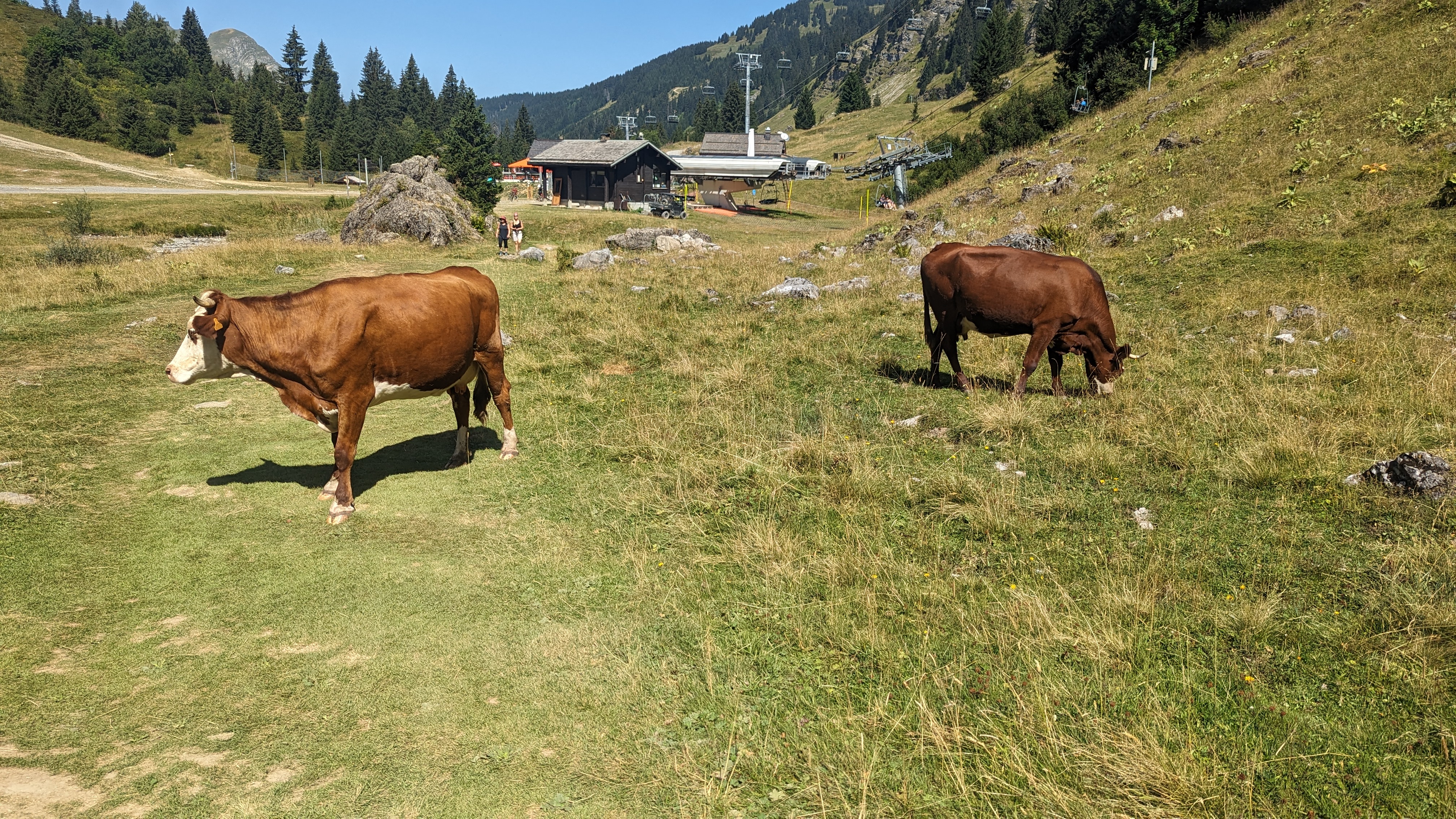 Photo n° 7 de l'avis de Ludmilla.e fait le 24/08/2023 à 12:51