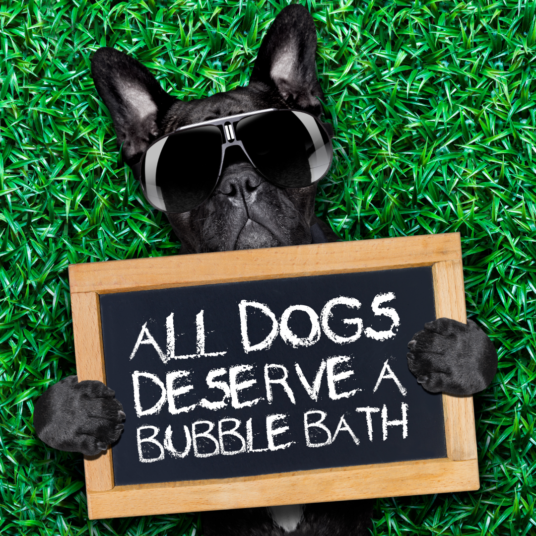 GOGO Bathers: Mobile Dog Wash