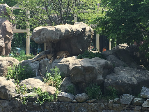 Park «Franklin Park», reviews and photos, 1 Franklin Park Rd, Boston, MA 02121, USA