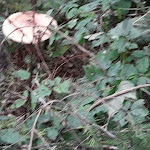 Photo n°7 de l'avis de Viorica.o fait le 13/11/2023 à 14:24 sur le  Other Side à Florence