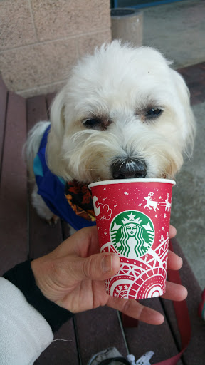 Starbucks image