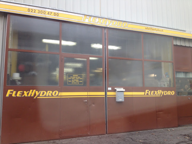 Rezensionen über Flexhydro Composants SA in Lancy - Klimaanlagenanbieter