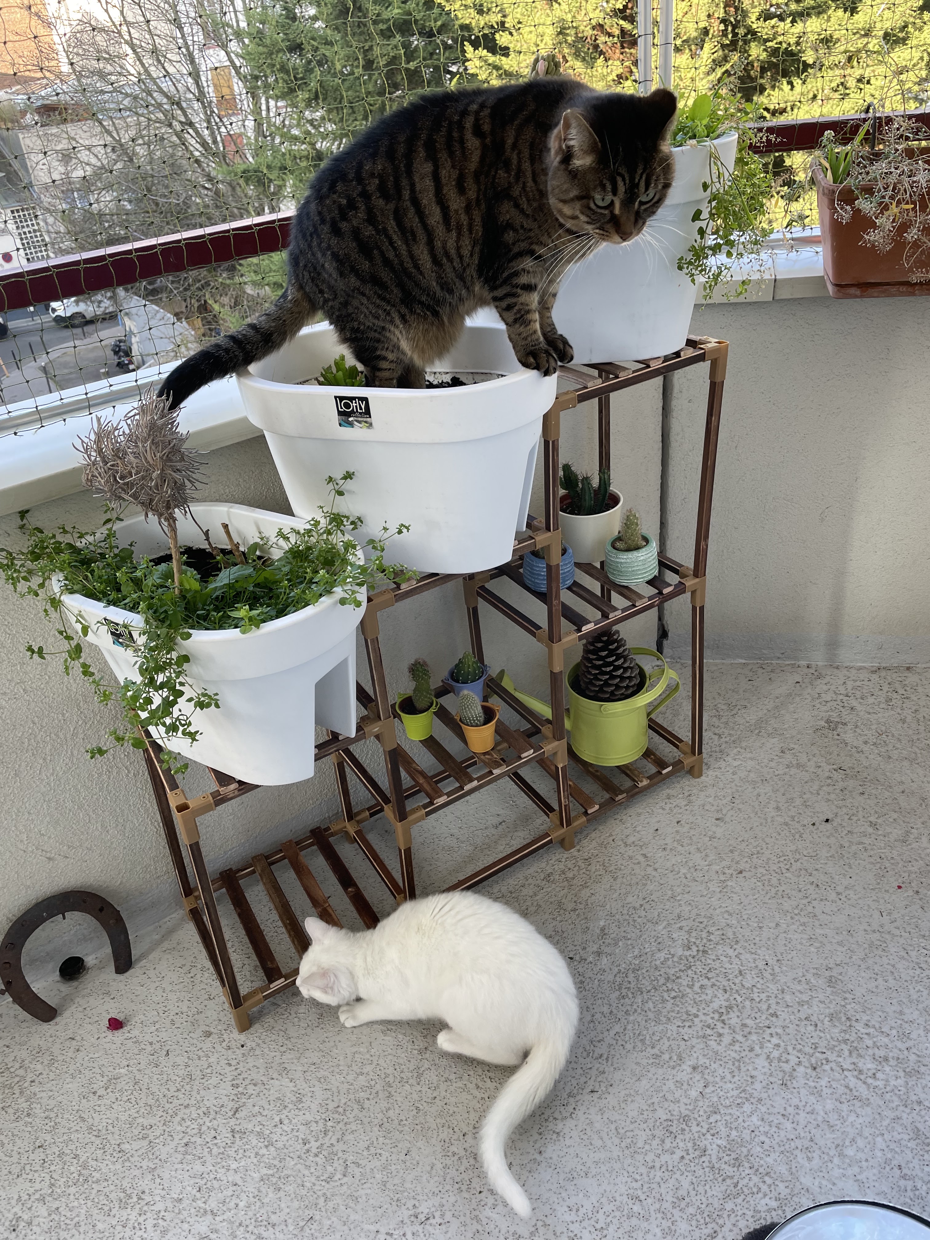 Photo n° 2 de l'avis de Patricia.h fait le 13/02/2023 à 12:58