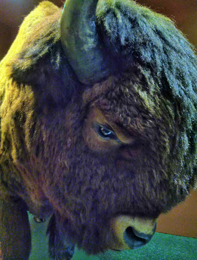 Science Museum «Buffalo Museum of Science», reviews and photos, 1020 Humboldt Pkwy, Buffalo, NY 14211, USA