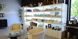 Blaze Color Salon