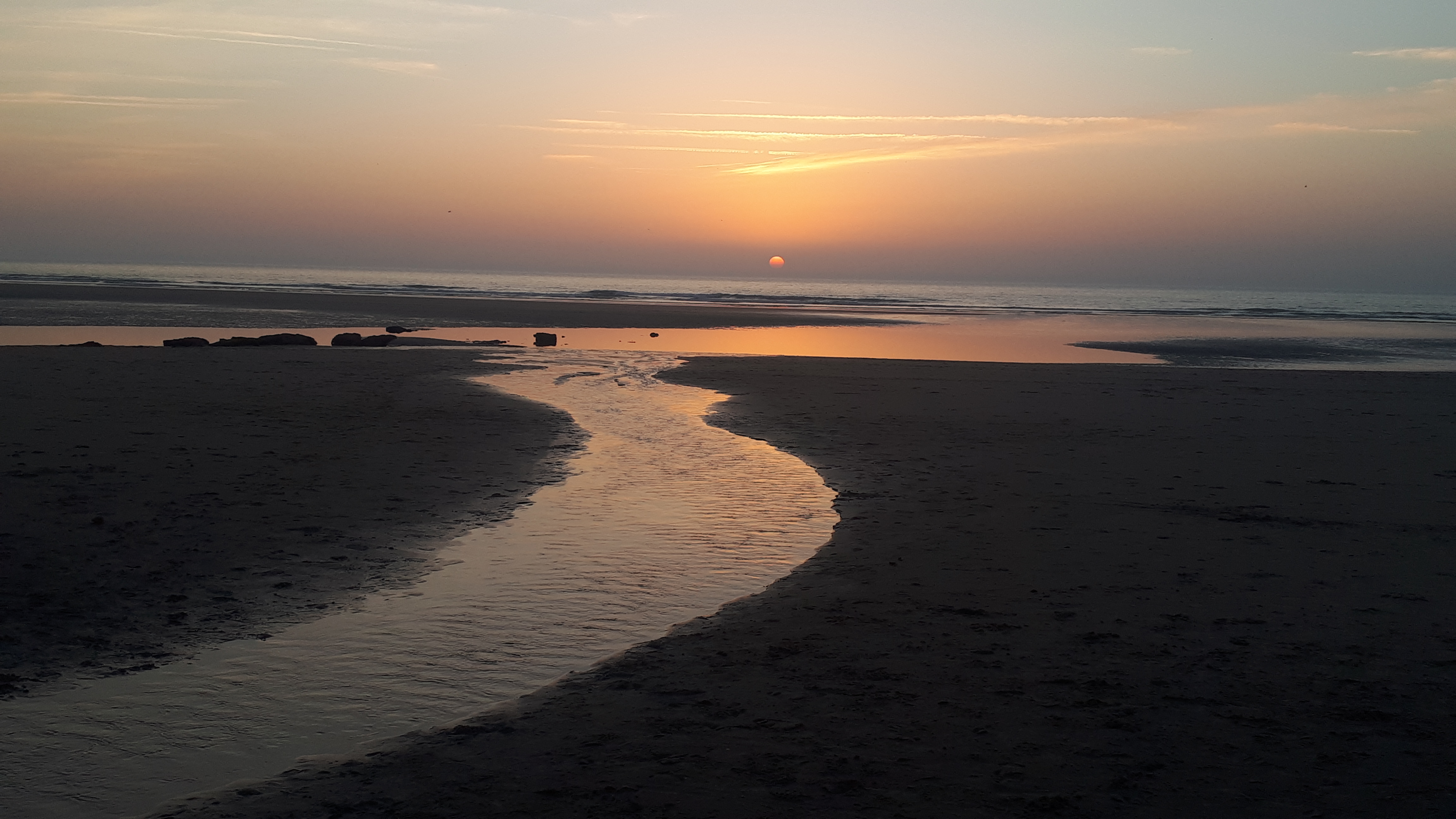 Photo n° 1 de l'avis de Marine.a fait le 19/02/2019 à 20:00