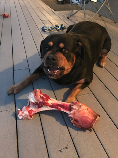 Pet Store «Fins & Critters Pet Shop», reviews and photos, 2014 W Gore Blvd, Lawton, OK 73501, USA