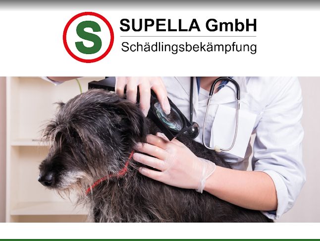 Supella GmbH - Andere