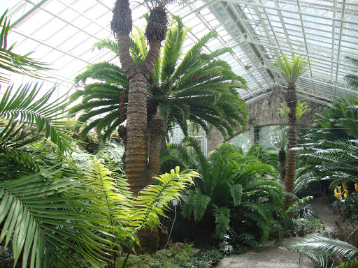 Gewächshäuser Im Botanischen Garten