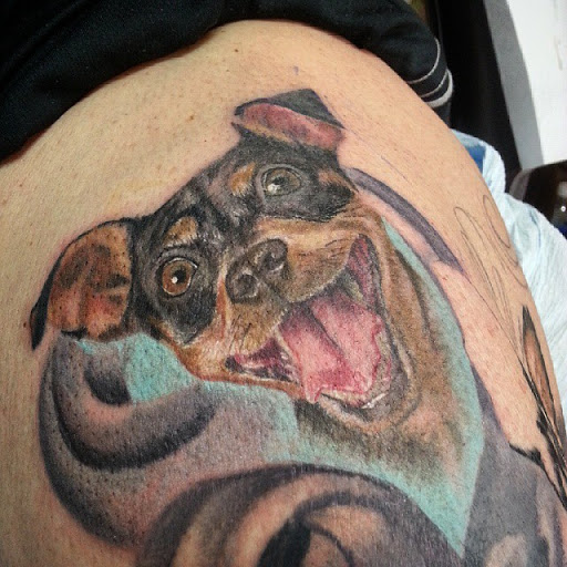 Explore dolphin tattoo ideas for females, creative tattoo ideas in East Lansing, available at Splash of Color Tattoo & Piercing Studio