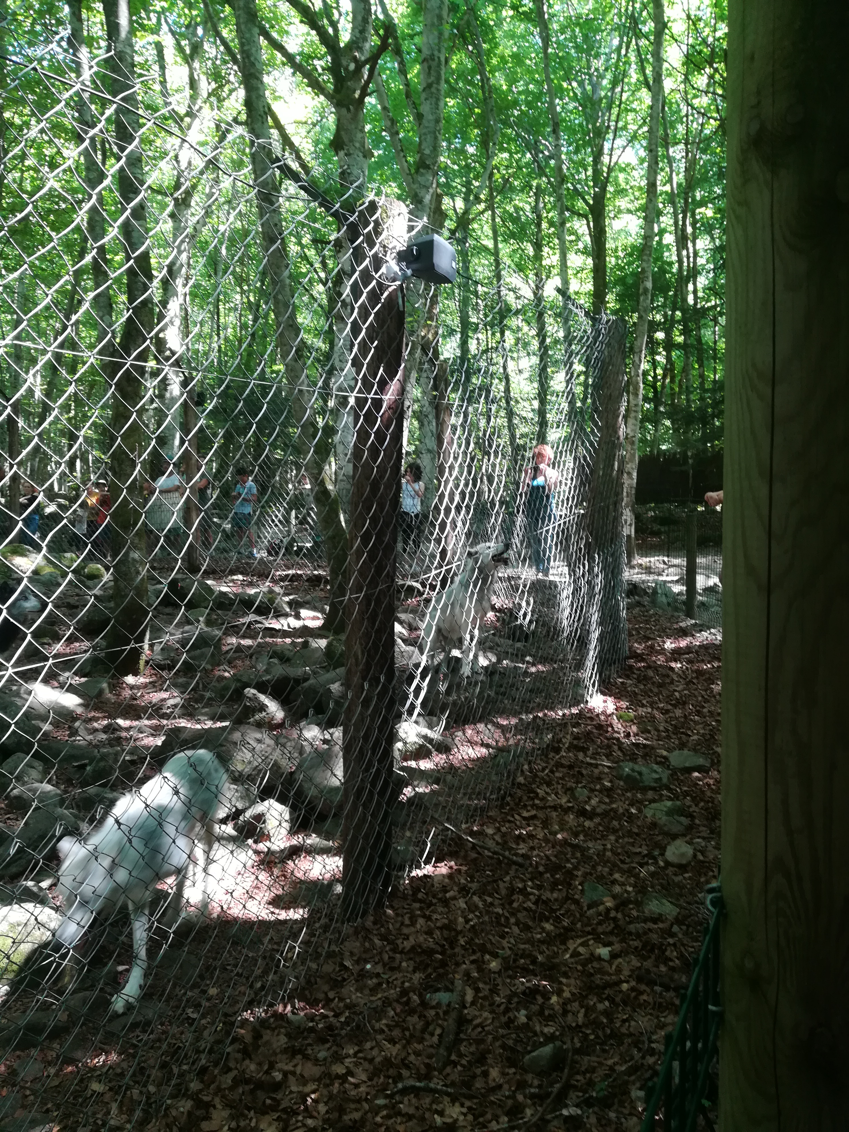 Photo n° 30 de l'avis de Audrey.� fait le 28/07/2017 à 17:11