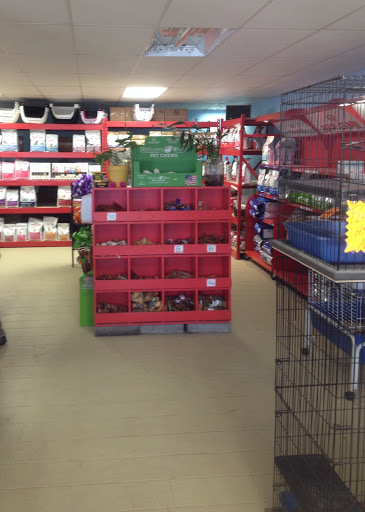 Pet Store «Hendersonville Pet Shop», reviews and photos, 1400 Spartanburg Hwy, Hendersonville, NC 28792, USA