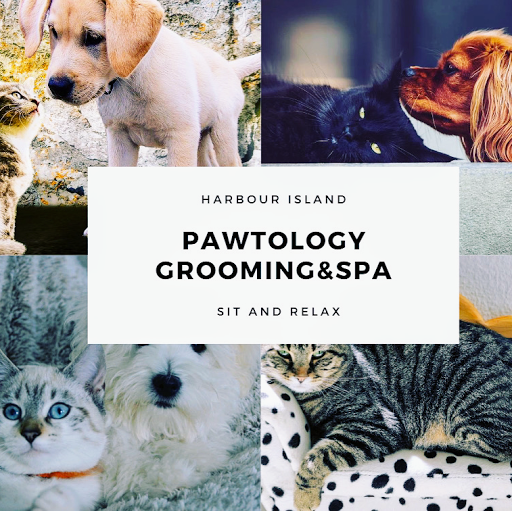 Pawtology Grooming&Pet Market