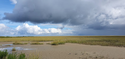 Le vey à Sainte-Marie-du-Mont