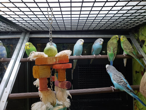 Pet Supply Store «PetSmart», reviews and photos, 9 Highland Common E, Hudson, MA 01749, USA