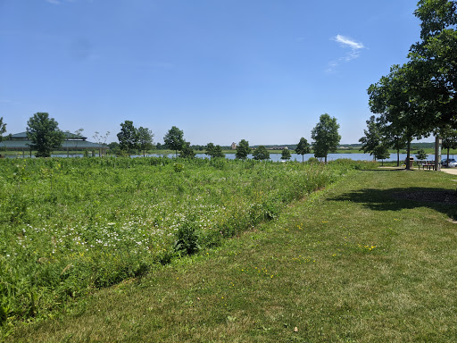 Nature Preserve «Hidden Oaks Conservation Area», reviews and photos, 419 Trout Farm Rd, Bolingbrook, IL 60440, USA