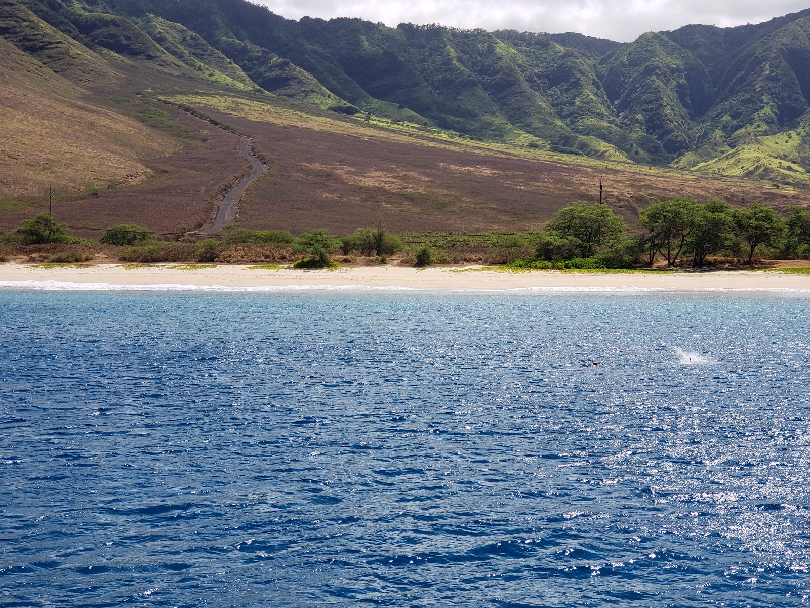 Ohiki-lolo Beach'in fotoğrafı uçurumlarla desteklenmiş