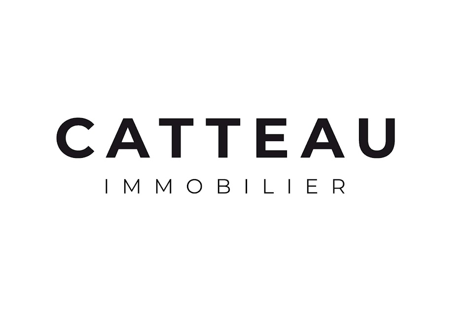 CATTEAU Immobilier à Saint-Quentin (Aisne 02)