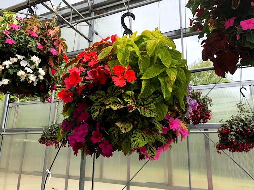 Produce Market «Dzen Garden Market», reviews and photos, 187 Windsorville Rd, Ellington, CT 06029, USA