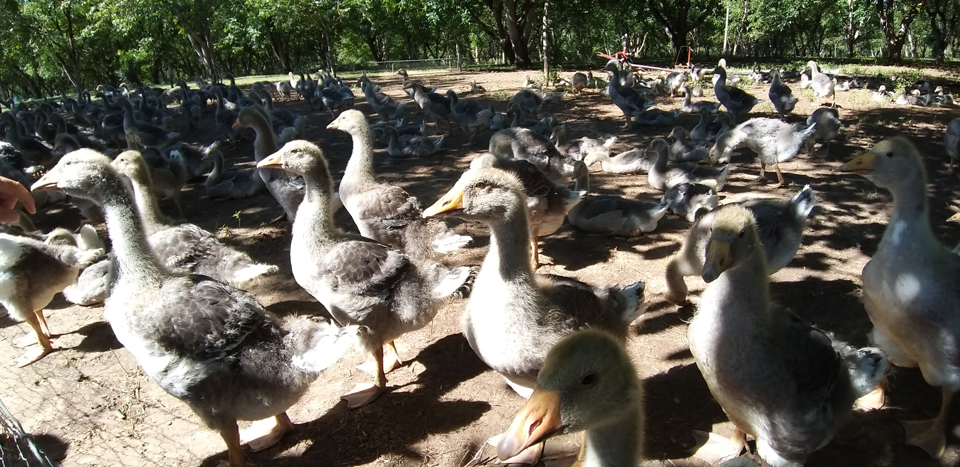 Photo n° 1 de l'avis de Franck.u fait le 29/07/2019 à 20:34
