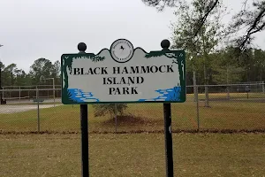 Black Hammock Island Park image