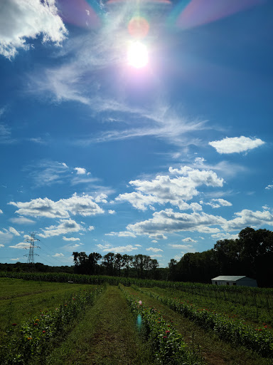 Orchard «Riamede Farm», reviews and photos, 122 Oakdale Rd, Chester, NJ 07930, USA