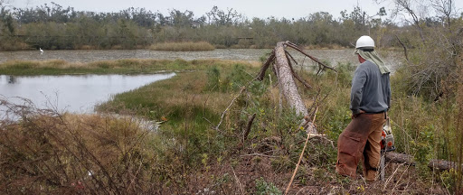 Park «Joe Moody Harris Park», reviews and photos, N Center Ave, Panama City, FL 32401, USA