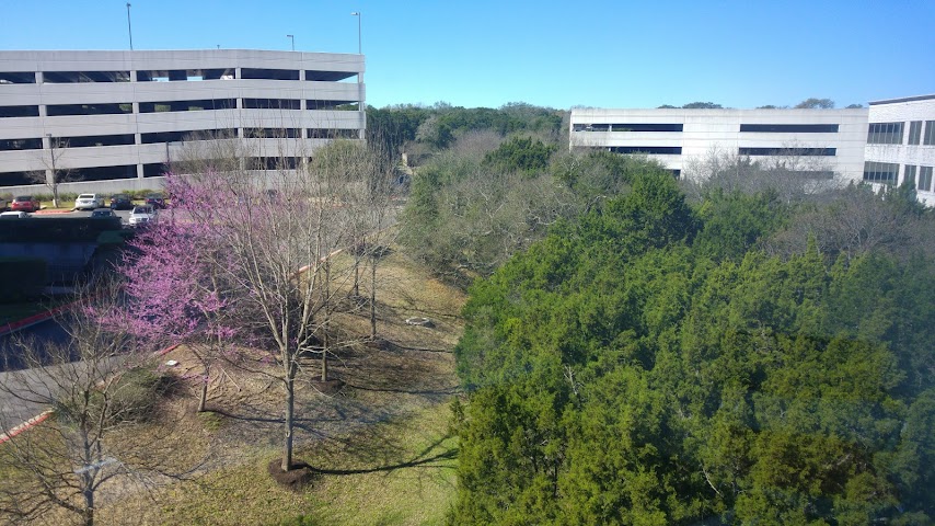Whole Foods Market Global Offices by null