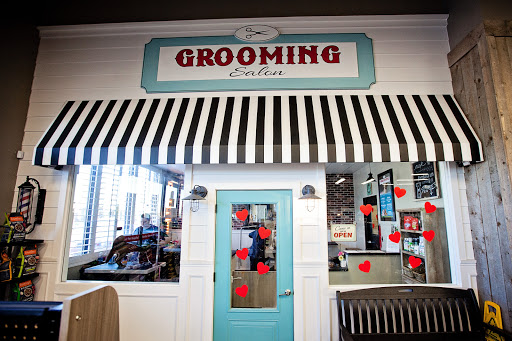 Pet Store «Market Street PET DEPOT», reviews and photos, 2979 S Market St, Gilbert, AZ 85295, USA