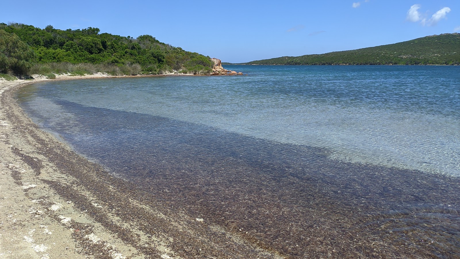 Foto di Spiaggia La Conchiglia con una superficie del acqua cristallina