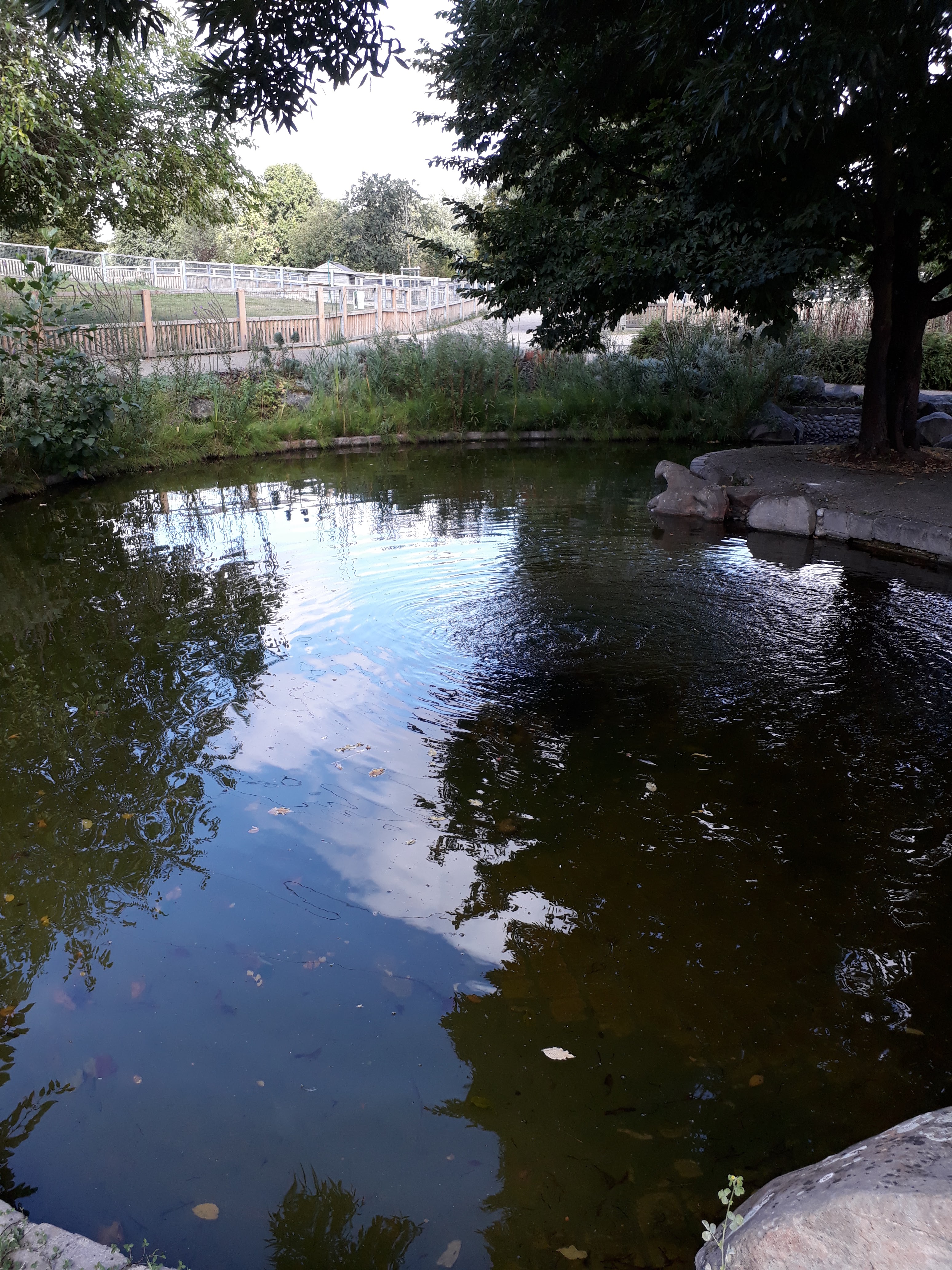 Photo n° 2 de l'avis de nadia.h fait le 01/09/2017 à 20:45