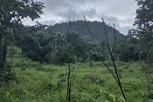 Boridand hills image