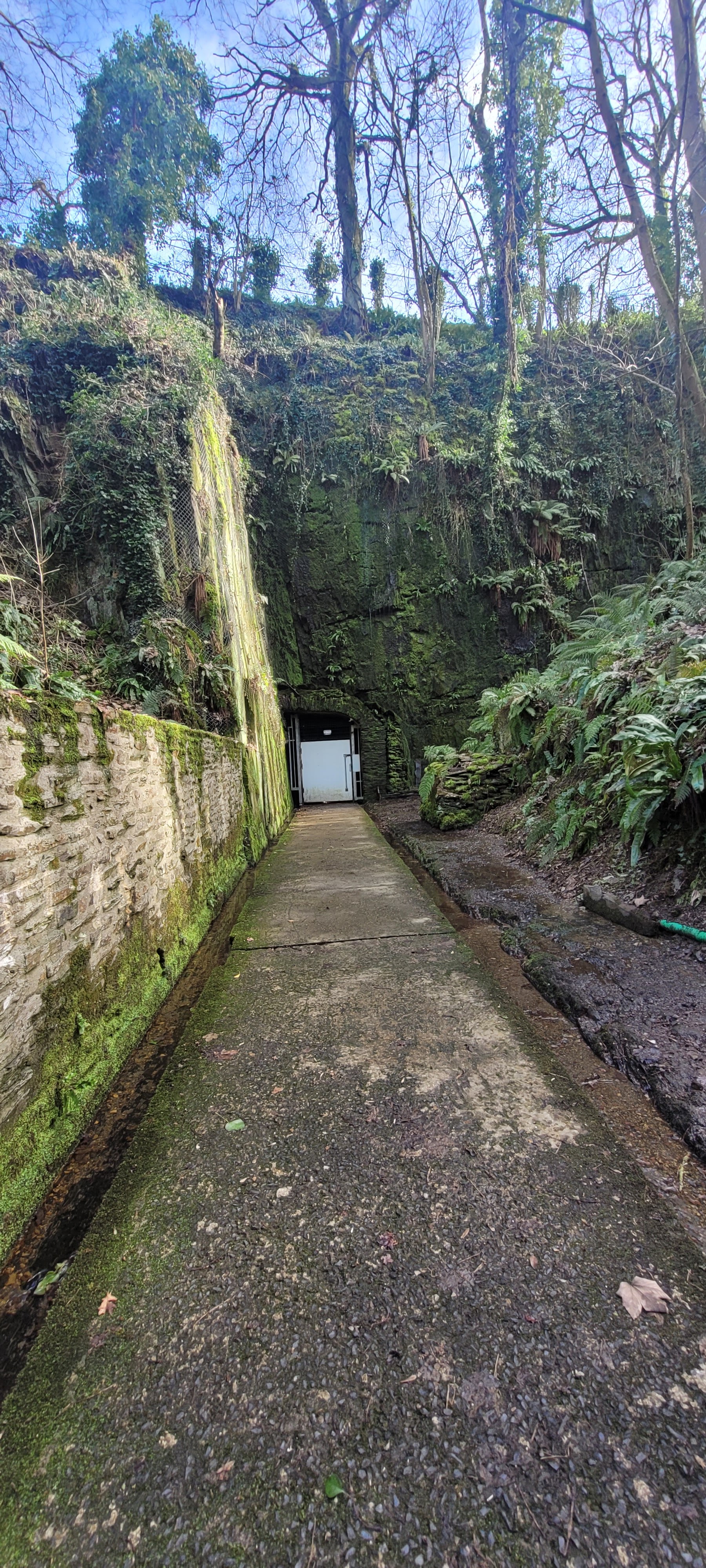 Photo n° 2 de l'avis de Sylvie.U fait le 17/02/2022 à 19:52