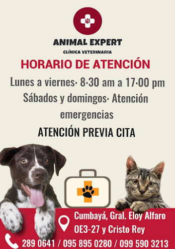 Opiniones de Veterinaria Animal Expert en Quito - Veterinario