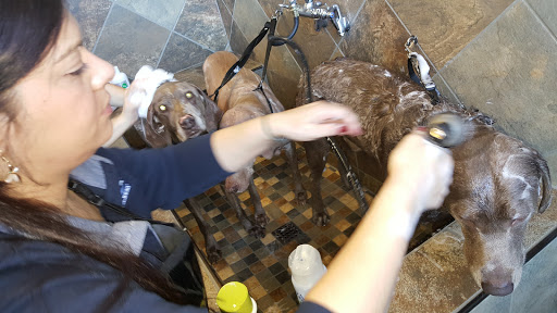 Pet Store «Pet Valu», reviews and photos, 134 S Ridge St, Rye Brook, NY 10573, USA