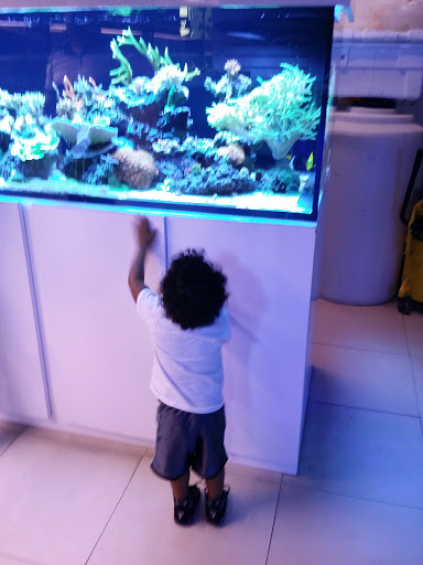 Tropical Fish Store «Ocean Blue Aquarium», reviews and photos, 2246 Aloma Ave, Winter Park, FL 32792, USA