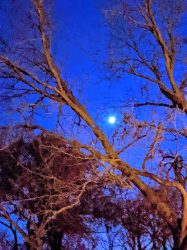 Park «Getzendaner Park», reviews and photos, 400 S Grand Ave, Waxahachie, TX 75165, USA