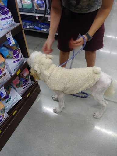 Pet Supply Store «PetSmart», reviews and photos, 1410 NE 23rd St, Pompano Beach, FL 33062, USA