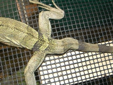 Pet Store «All Pets Club», reviews and photos, 1167 N Colony Rd, Wallingford, CT 06492, USA